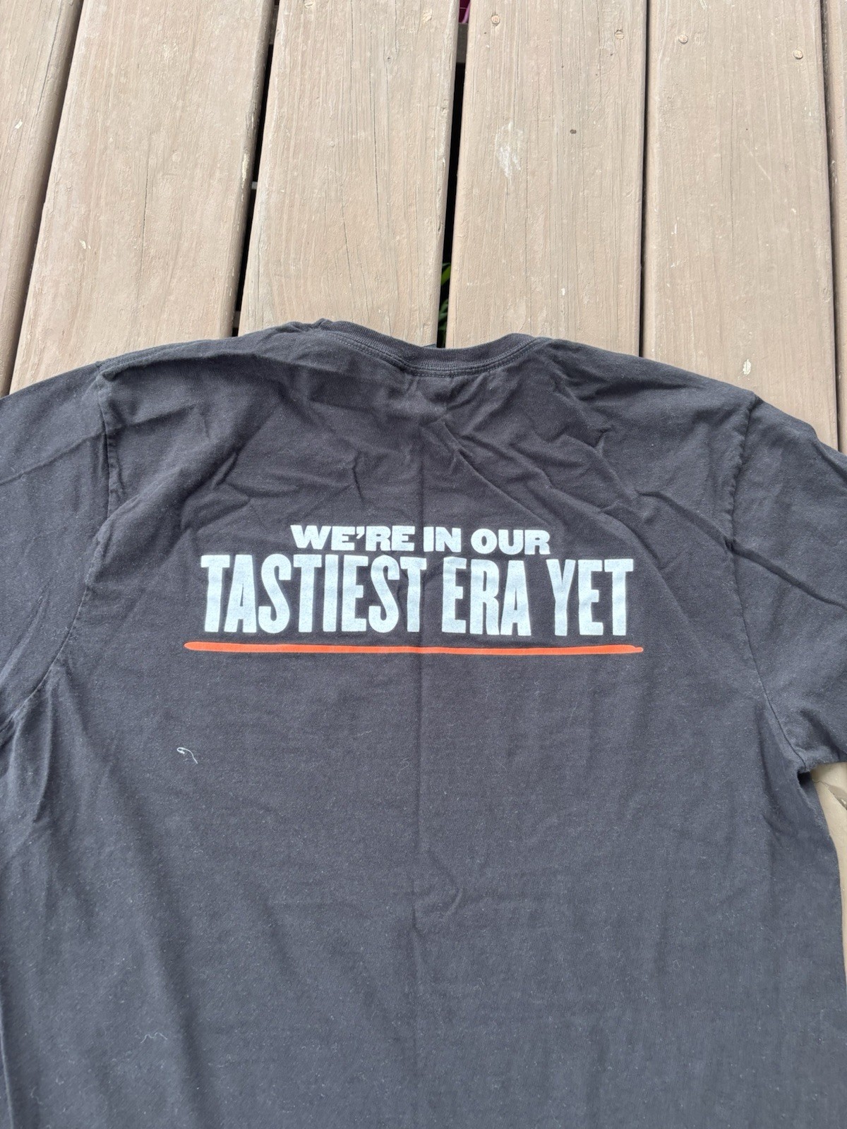 Panera Bread Promotional T-Shirt Charcoal Grey Hanes Perfect-T Tastiest Era Yet