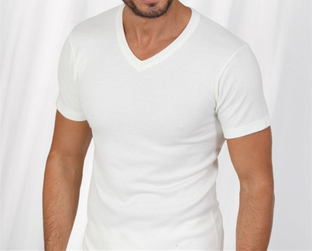 New 3-6 Pack Mens 100% Cotton Tagless V-Neck T-Shirt Undershirt Tee White S-XL