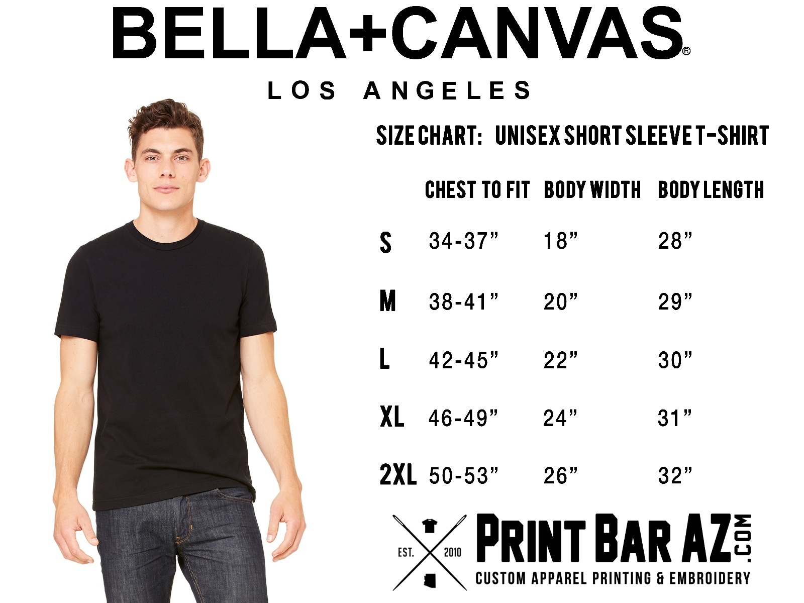 Delta Chi Fraternity Bella+Canvas American Flag USA Shirt