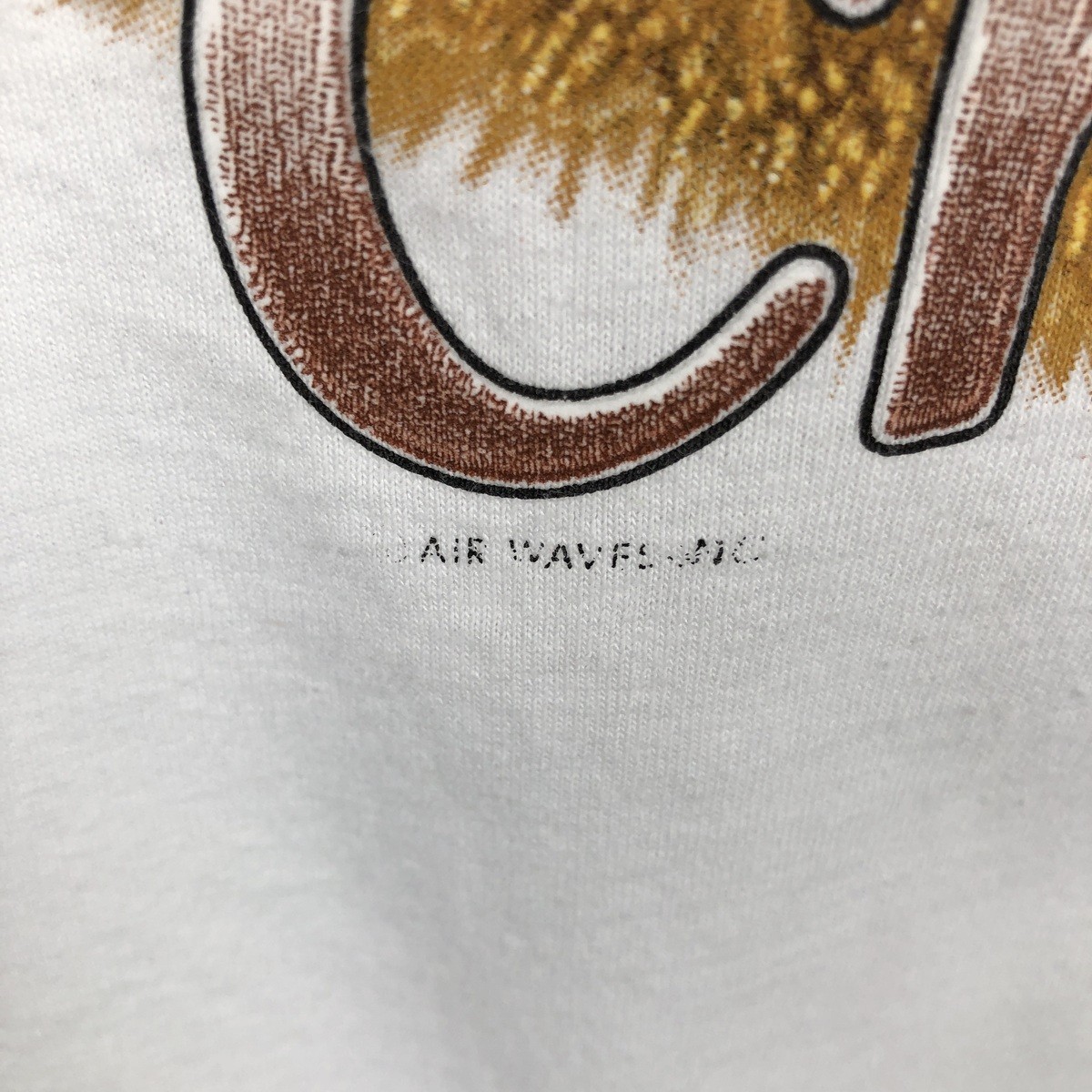 Used 90’S-00’S Fruit of the Loom Chow Chow dog print animal t-shirt men’s si…