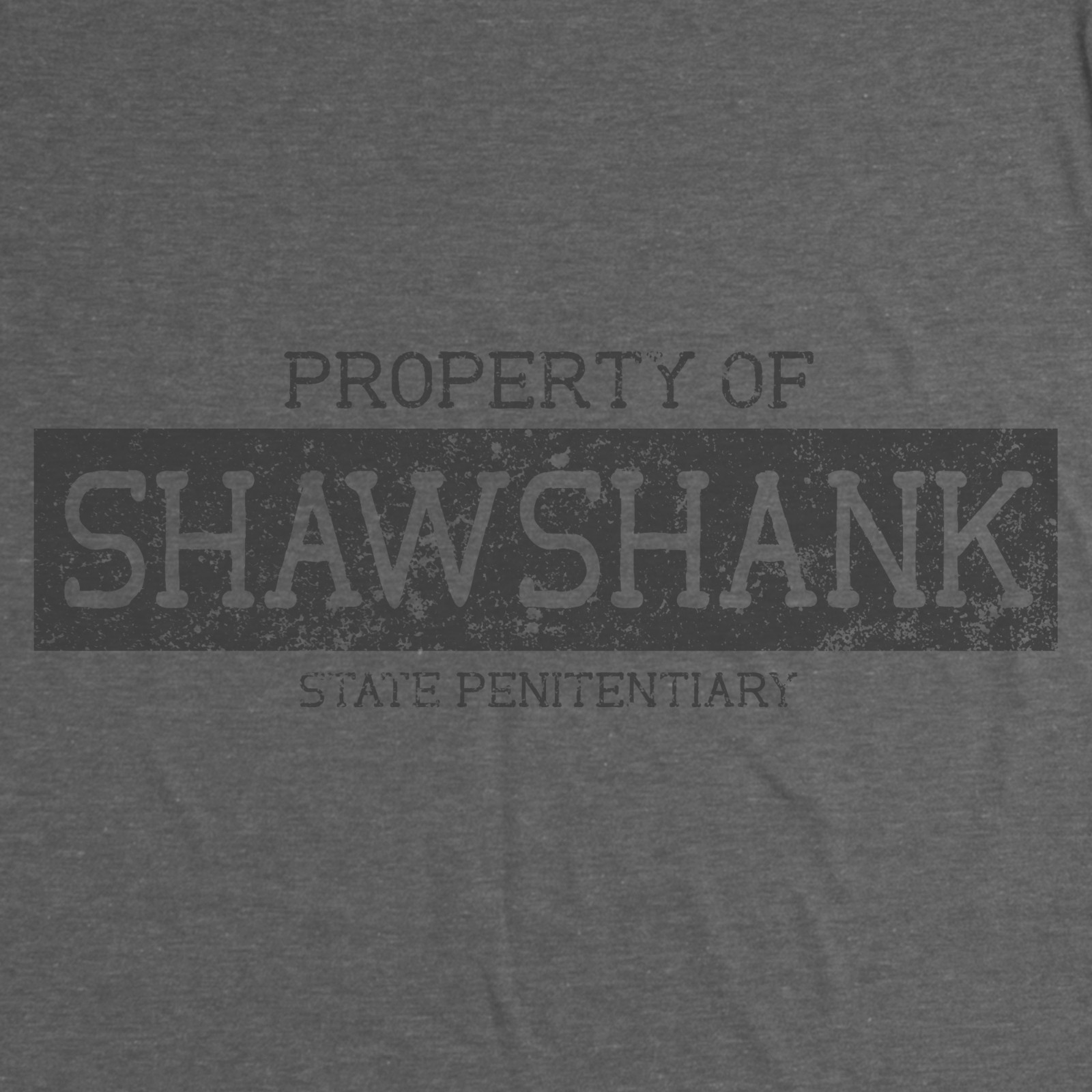 The Shawshank Redemption Penitentiary Prison Andy Dufresne 90s Movie Tee T Shirt