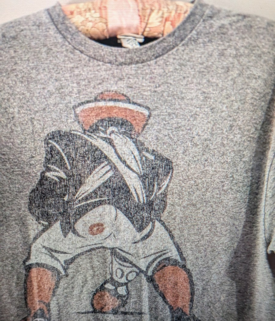 Vintage Delta Pro Weight T Shirt Mens Size L Gray Pucker Up Graphic Tee Y2K