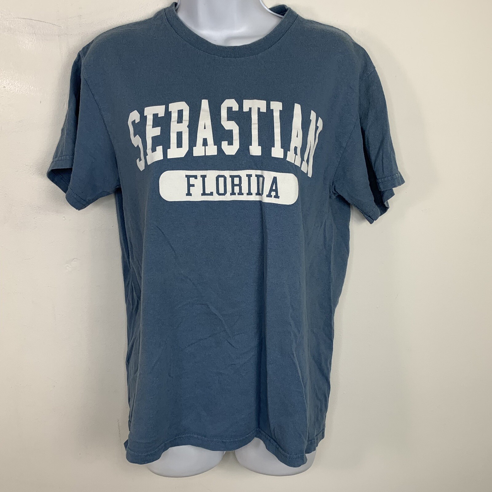Delta Pro Weight T Shirt sz M Blue Sebastian Florida Retro Tourist Chic Casual