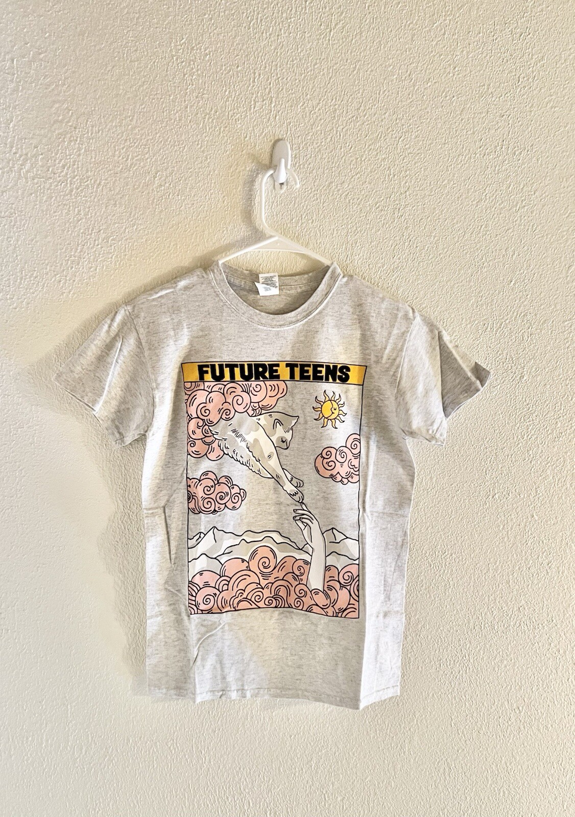 Future Teens Cat Indie Alternative Band Shirt Size Small Grey