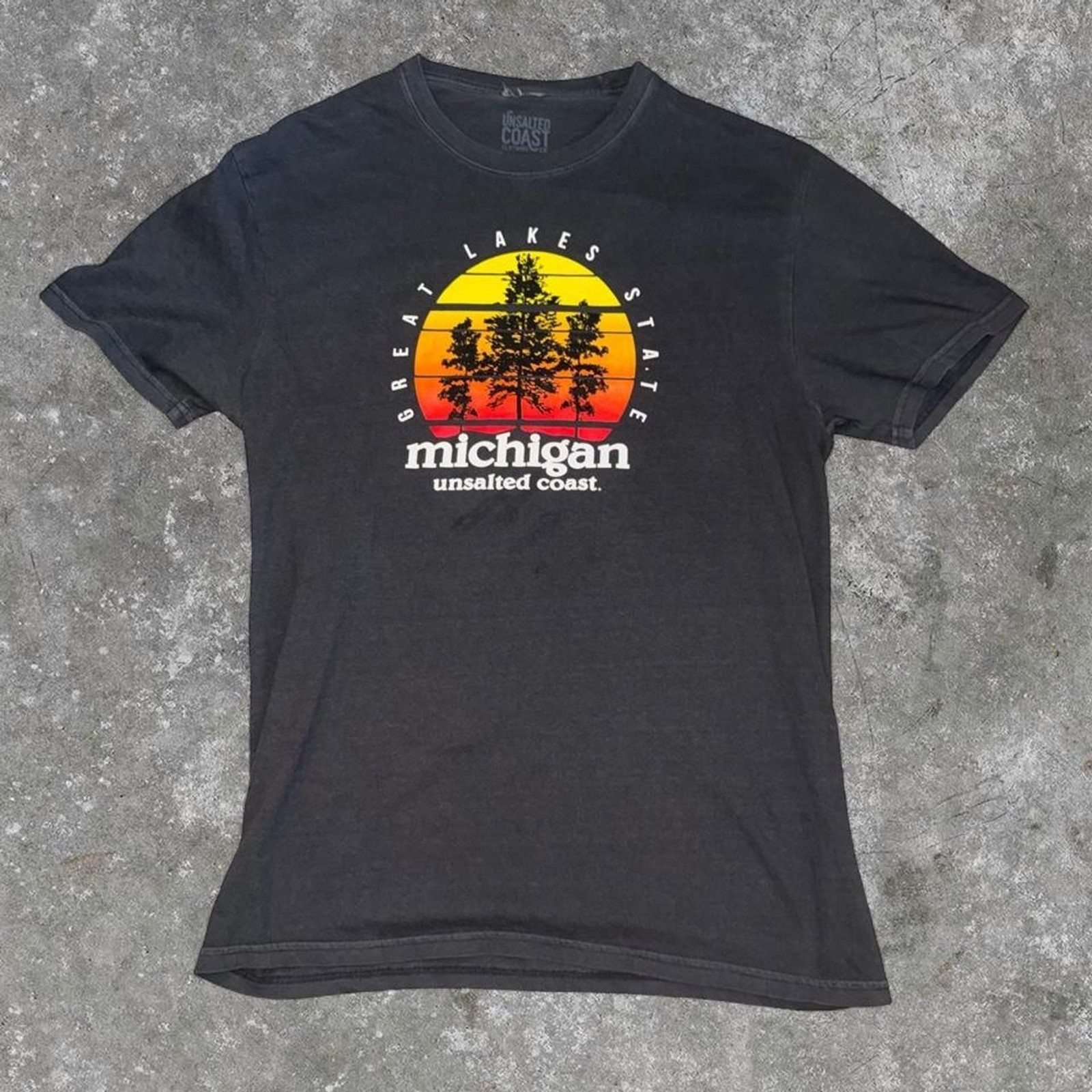 Unsalted Coast Michigan Great Lakes State Graphic T-Shirt Men’s Charcoal Gray Si