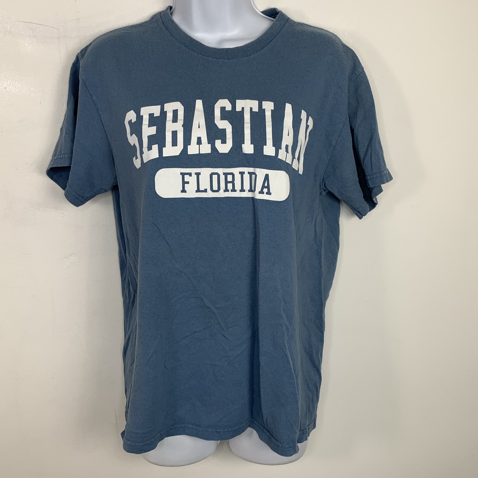 Delta Pro Weight T Shirt sz M Blue Sebastian Florida Retro Tourist Chic Casual