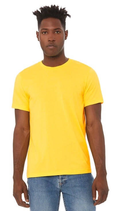 BELLA + CANVAS – Unisex CVC Jersey Tee – 3001CVC