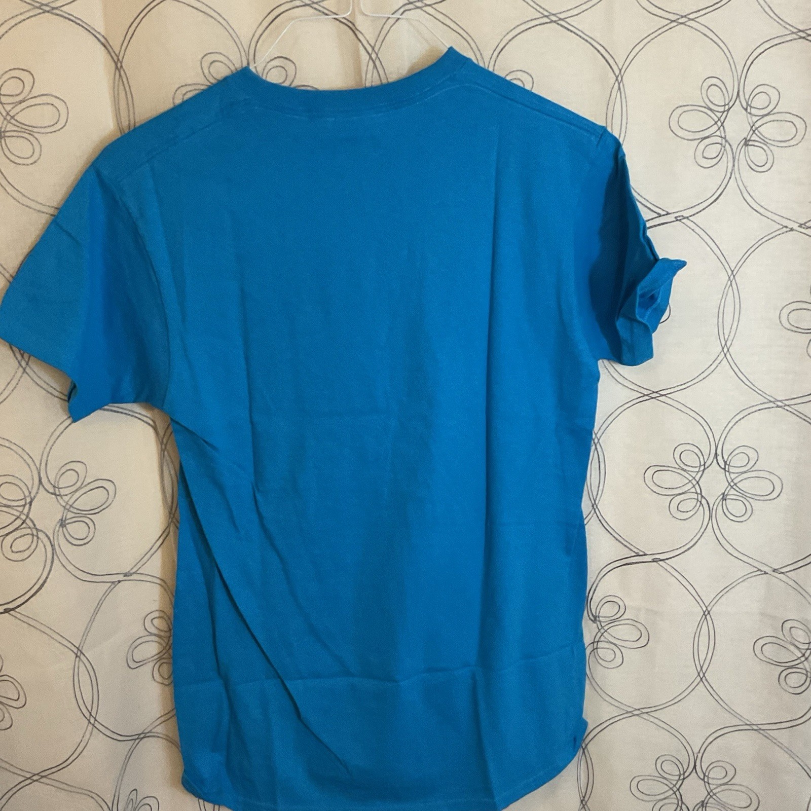 Delta Pro Weight Funny Graphic T-Shirt Adult Small Blue “Kind of Give a Damn”