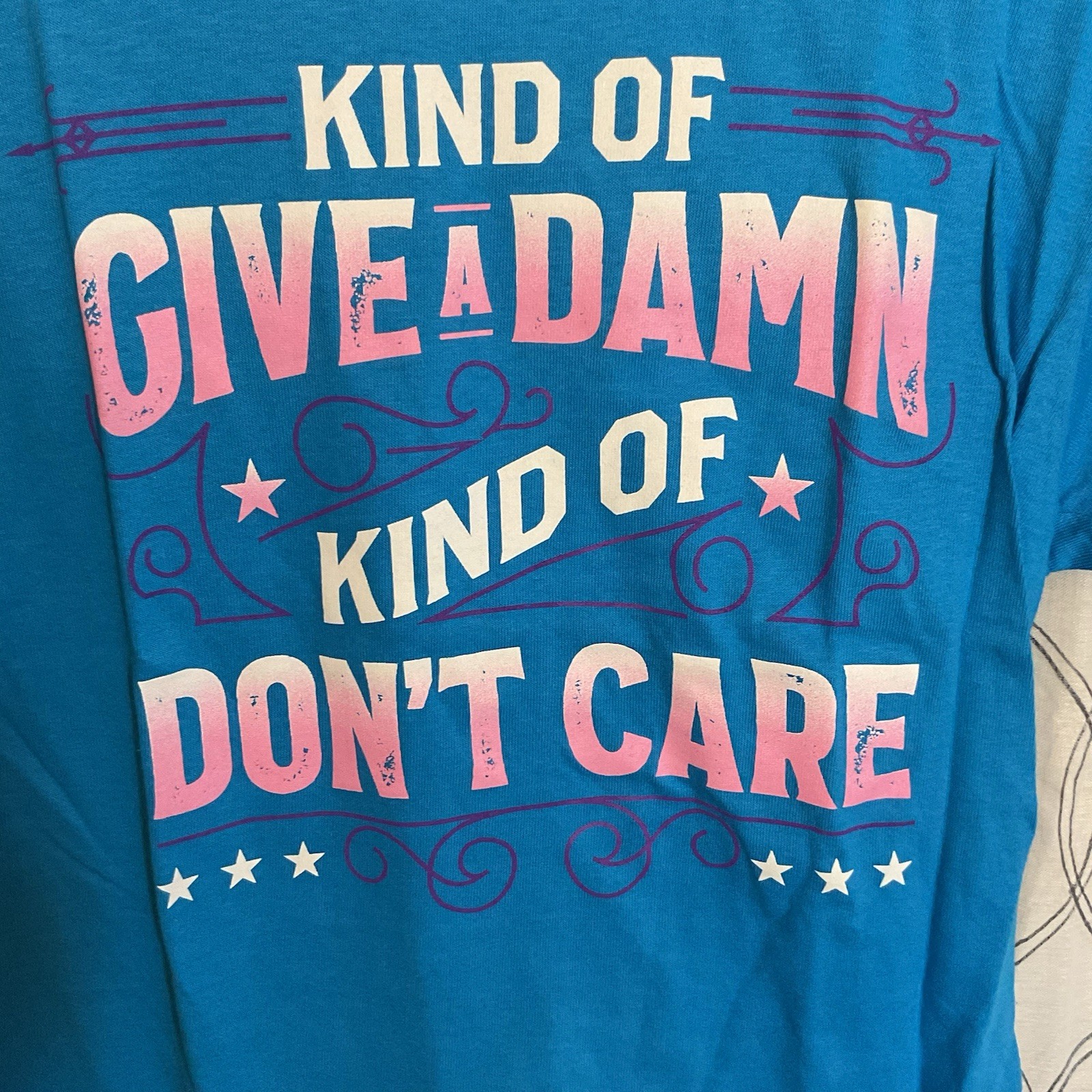 Delta Pro Weight Funny Graphic T-Shirt Adult Small Blue “Kind of Give a Damn”